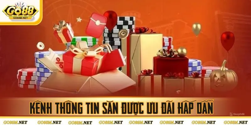 Kênh thông tin săn được ưu đãi hấp dẫn