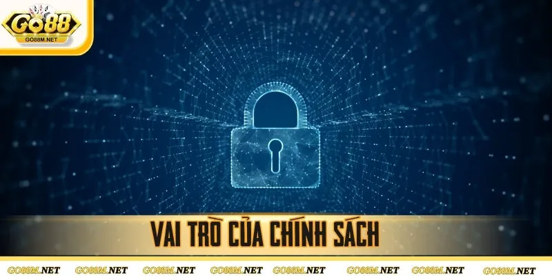 Vai trò của chính sách